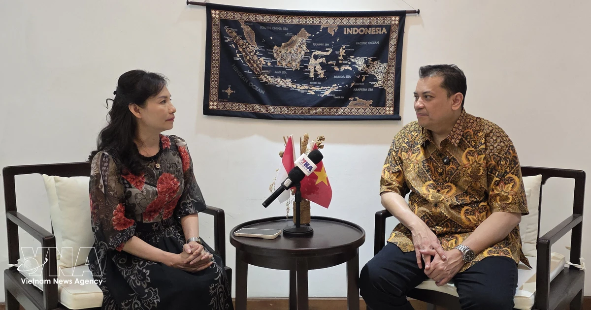 Vietnam bridges interests, strengthens ASEAN solidarity: Indonesian scholar