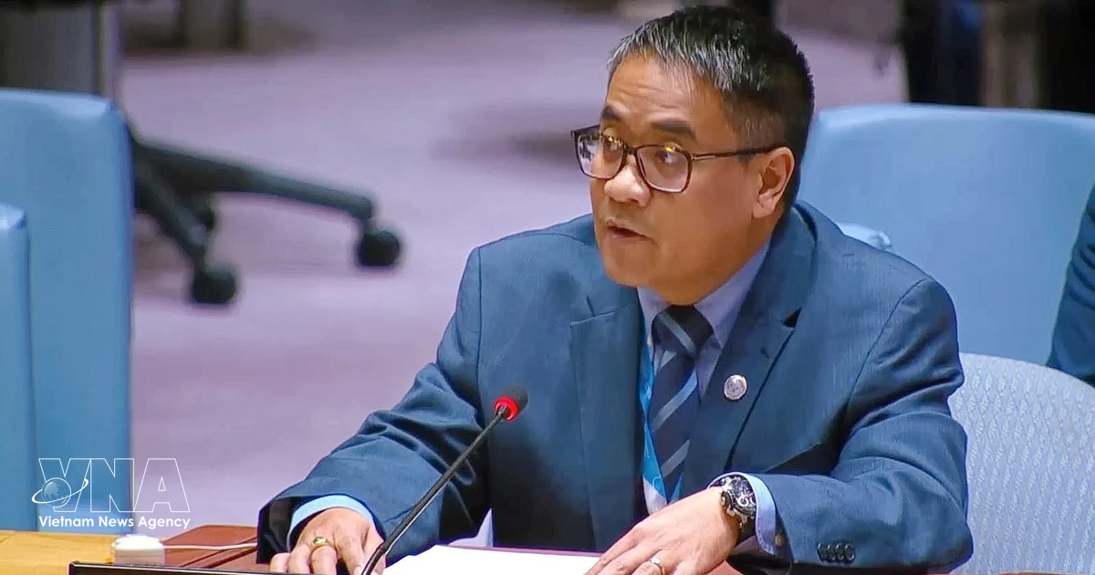 Vietnam calls for global cooperation on natural resource governance for peace, security