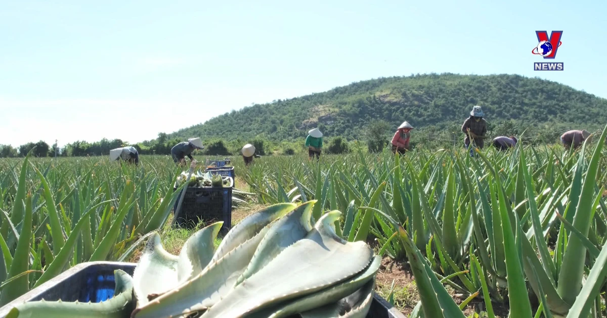 Vietnam promotes greenhouse gas inventory from traceability