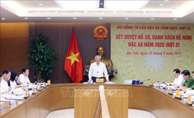 Permanent Deputy Prime Minister Nguyen Hoa Binh, Chair of the Amnesty Advisory Council, addresses the meeting on August 25. (Photo: VNA)