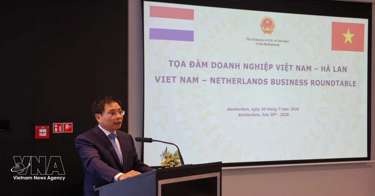 Dutch businesses upbeat about Vietnam's growth prospects