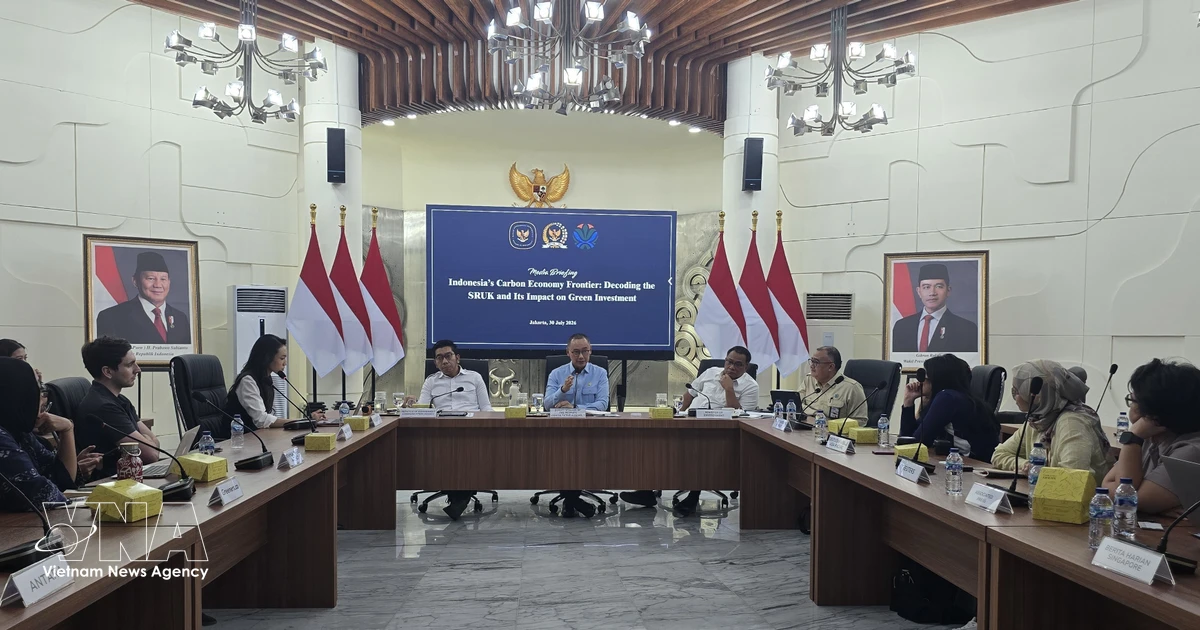 Indonesia strengthens carbon market governance to attract green investment