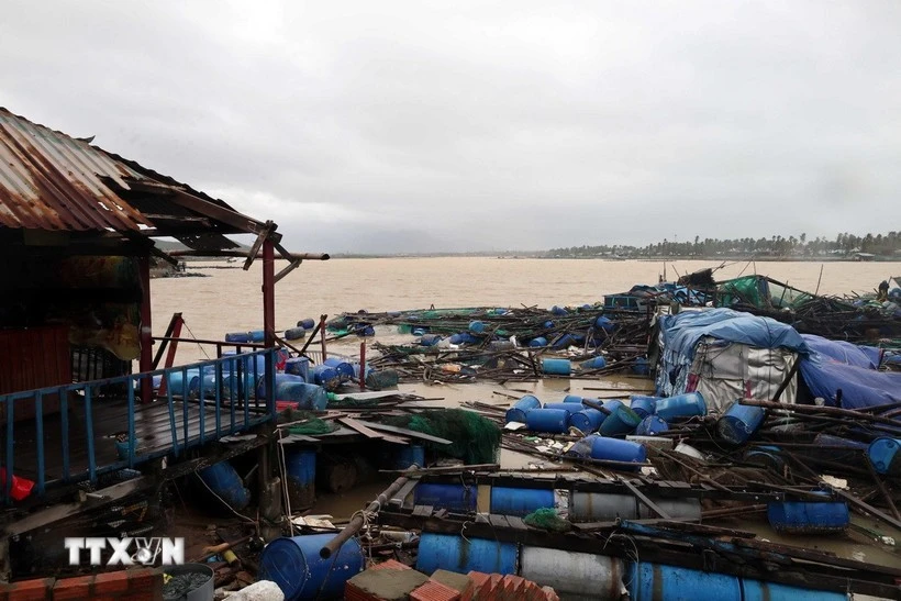 Heavy rain and flooding severely damage aquaculture cages and rafts in Xuan Canh commune, Dak Lak province. (Photo: VNA)