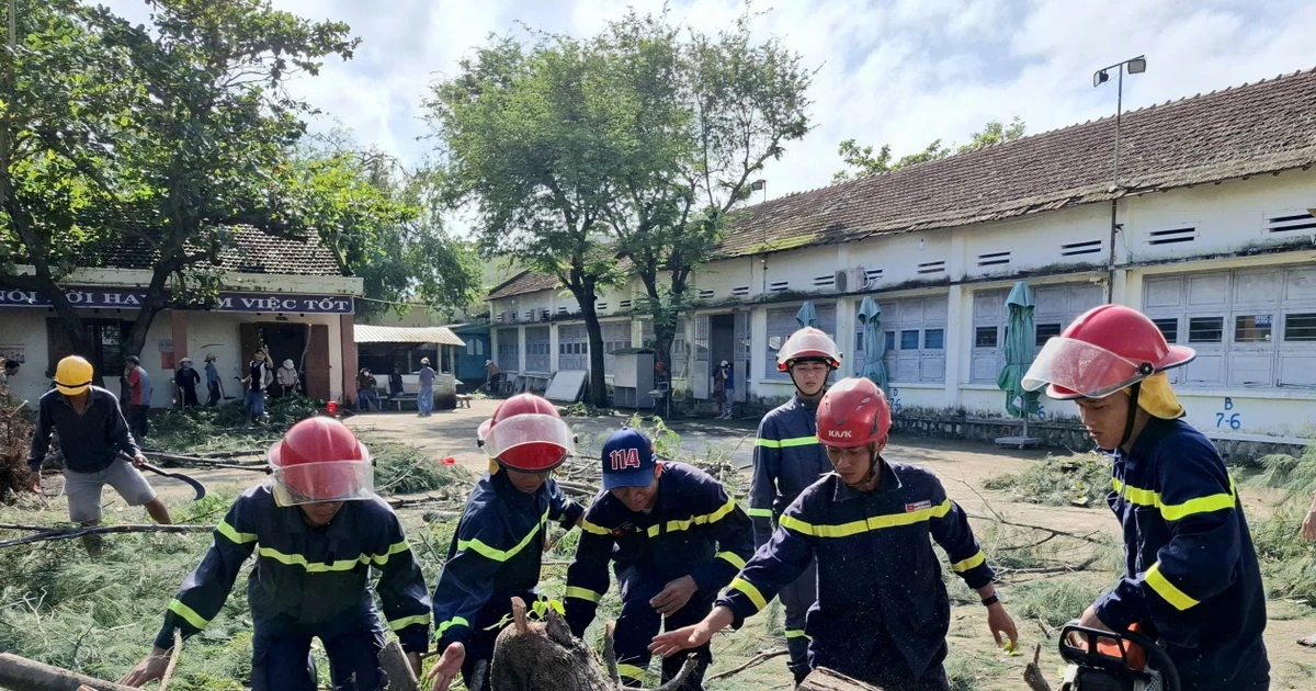 Fallen tree at Nguyen Hong Son Secondary School, Xuan Dai ward, Dak Lak province removed. (Photo: VNA)