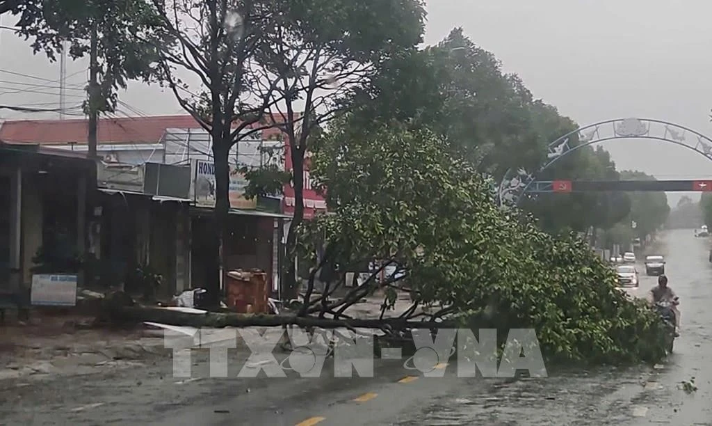 Trees are uprooted and broken in Buon Ma Thuot city, Dak Lak province, due to the impact of the storm. (Photo published by VNA)