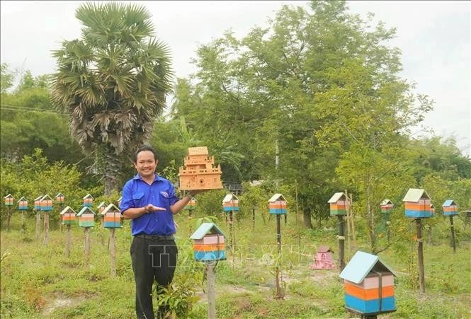 ‘Nature-friendly’ bee farming model bring high income to farmer