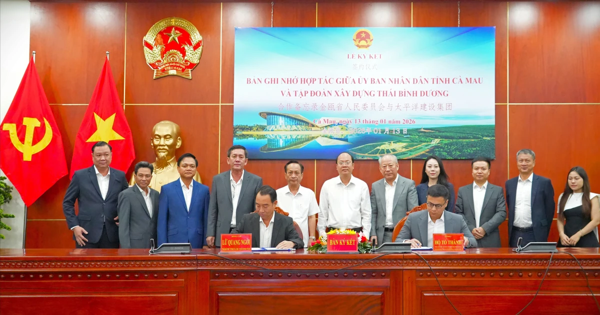 Ca Mau, Chinese firm join forces in 5-billion-USD plan for urban rail, smart transport