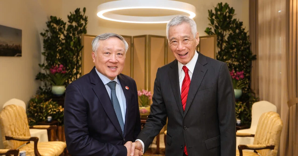 Vietnam seeks stronger partnership with Singapore