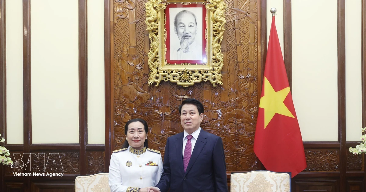 Vietnam eyes stronger relations with Cambodia, Saudi Arabia, Dominica: State President