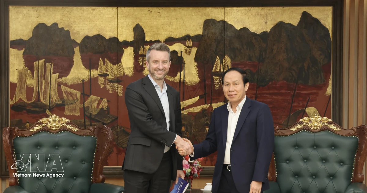 Vietnam extends all possible support to reputable int’l education establishments: Deputy PM