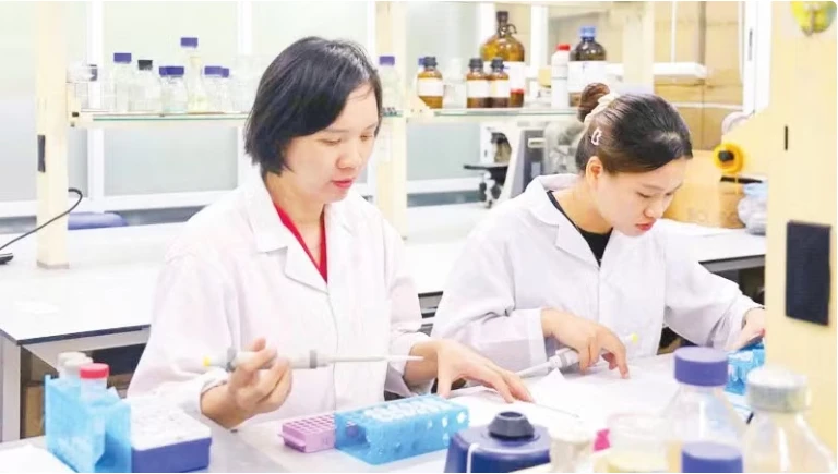 Vietnamese scientists develop nanovitexin from mung bean husks to support diabetes treatment