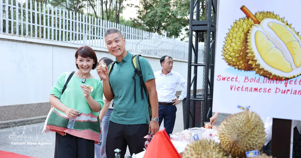 Vietnamese fruit expands foothold in Chinese market