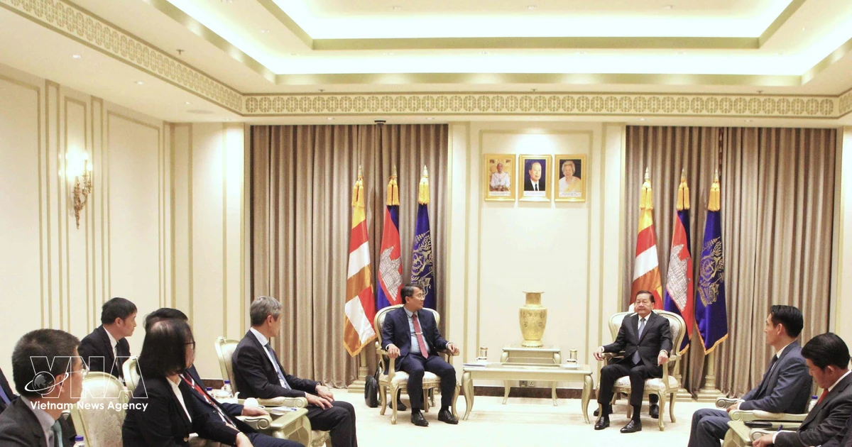 Vietnam consolidates traditional ties with Cambodia