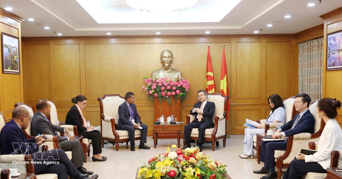 Vietnam, Timor-Leste share experience in Party building, national governance