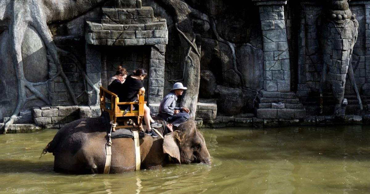 Indonesia tightens management of elephant conservation