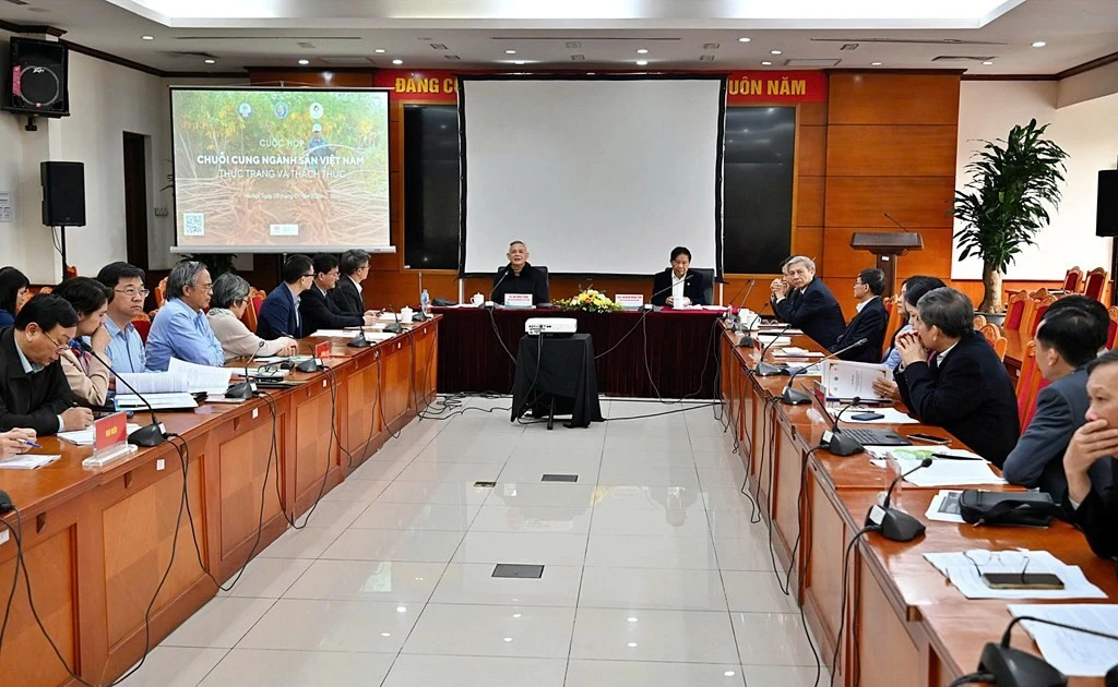 Vietnam ranks third globally in cassava exports, supply chain faces challenges