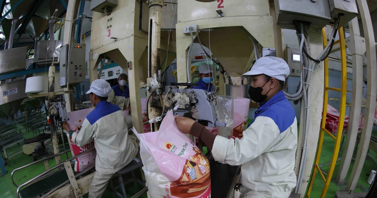 Rice is packaged at Loc Troi Group’s factory in An Giang province. (Photo: VNA)