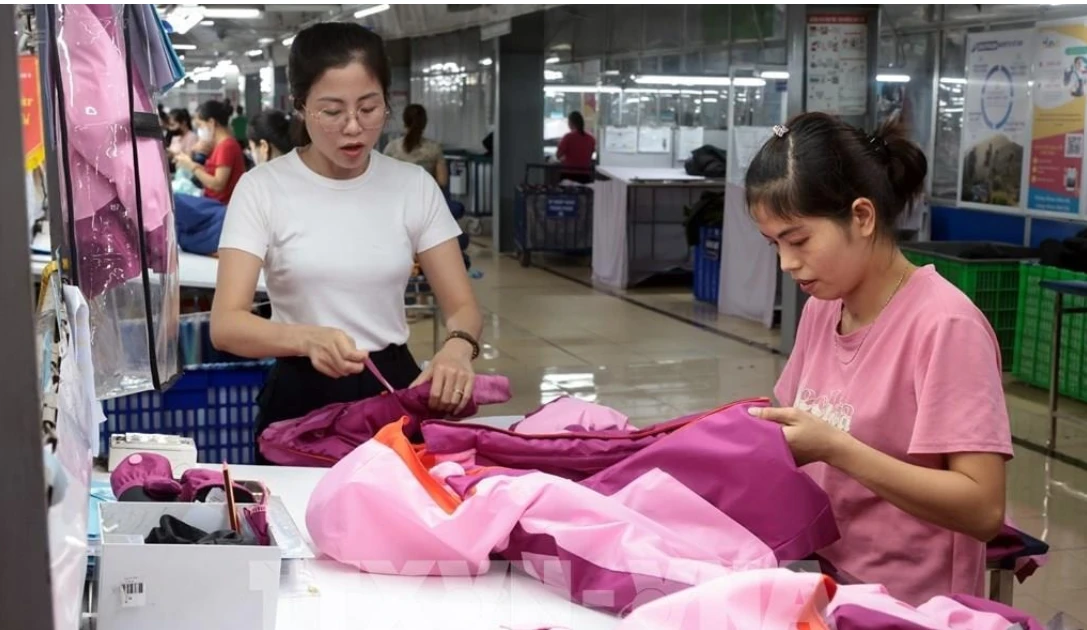 Garment production for export to the EU at TNG Garment Company in Thai Nguyen province. (Photo: VNA)