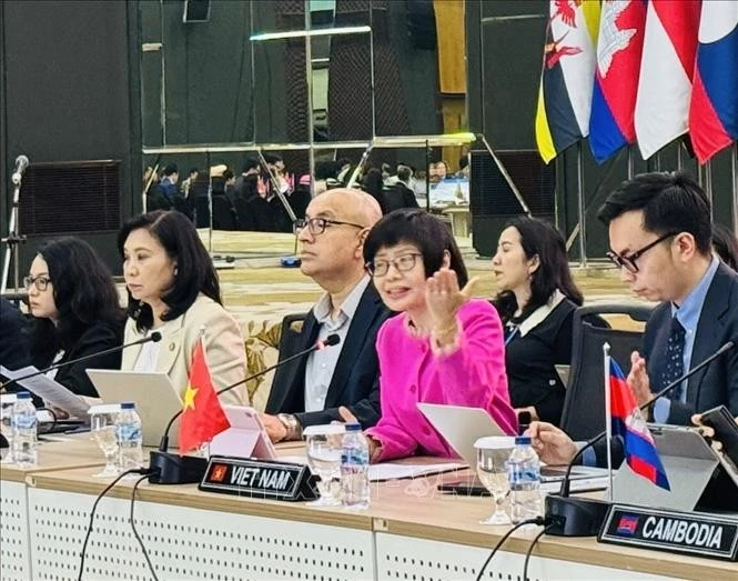 Permanent Representative of Viet Nam to ASEAN Ambassador Ton Thi Ngoc Huong (second from right) chairs the meeting (Photo: VNA)