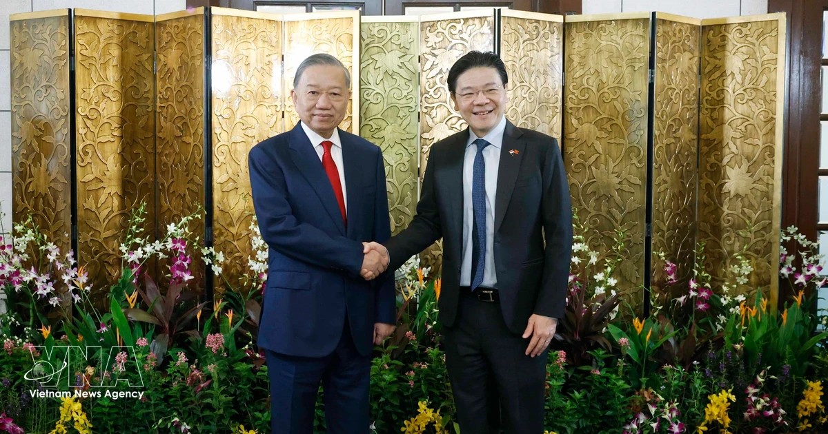 Vietnamese, Singaporean leaders agree to further deepen Comprehensive Strategic Partnership