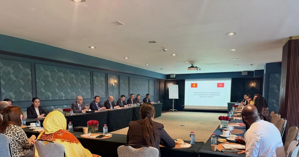 Trade office strengthens Vietnam – Morocco business connectivity