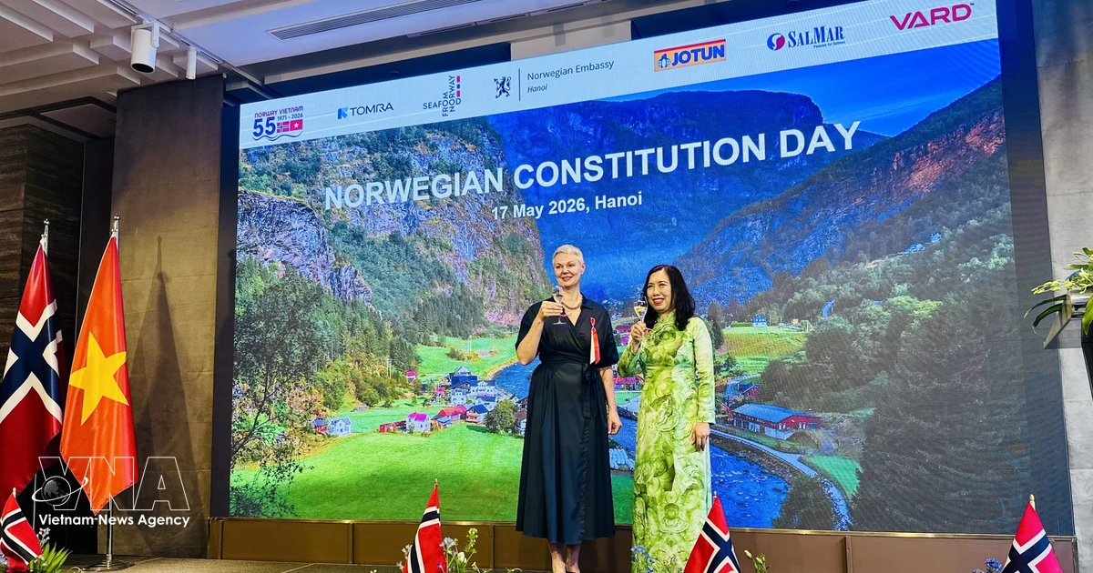 Vietnam, Norway seek strategic, practical cooperation frameworks