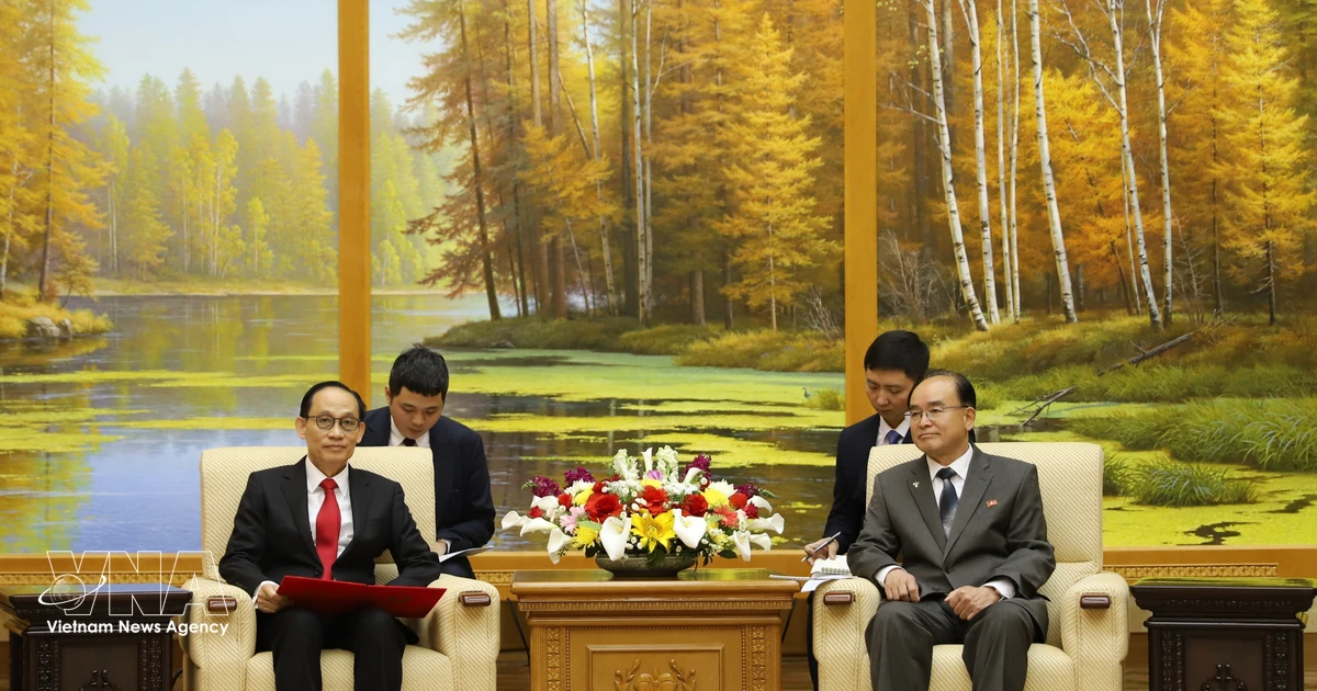 Vietnam wishes to unceasingly develop ties with DPRK: Foreign Minister