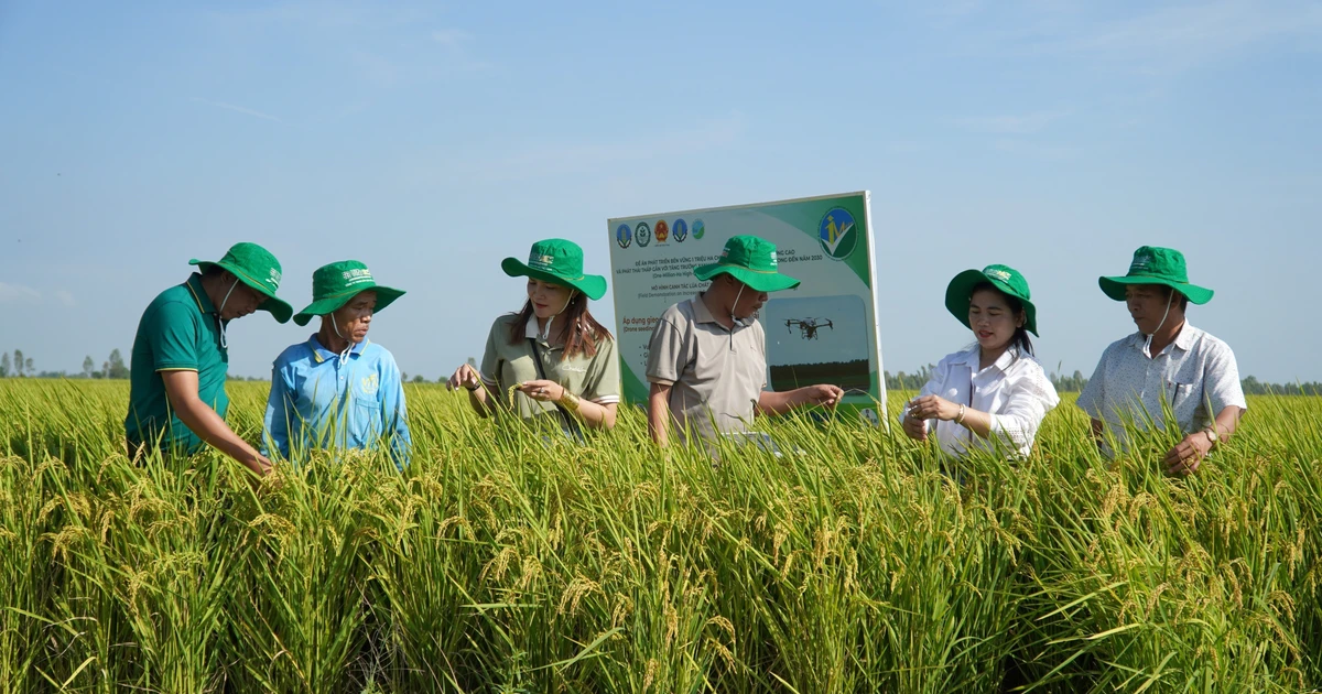Vietnam makes strides in sustainable agricultural development