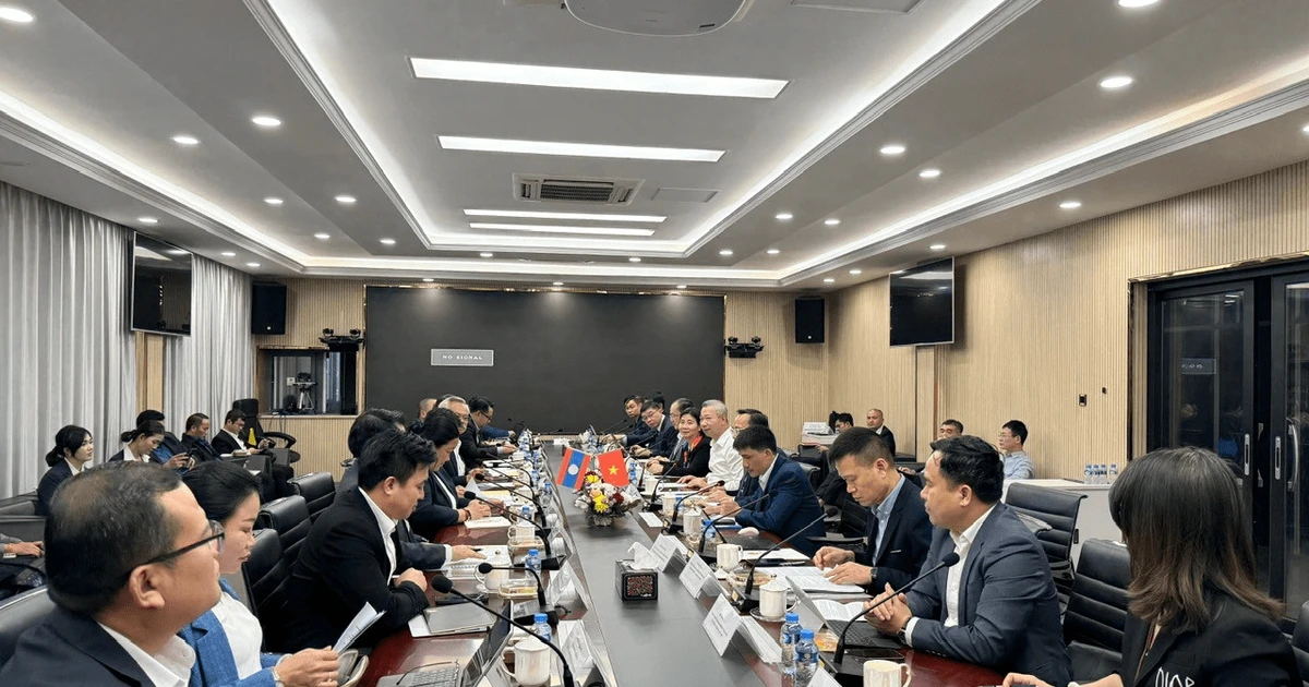 Vietnam, Laos advance energy cooperation