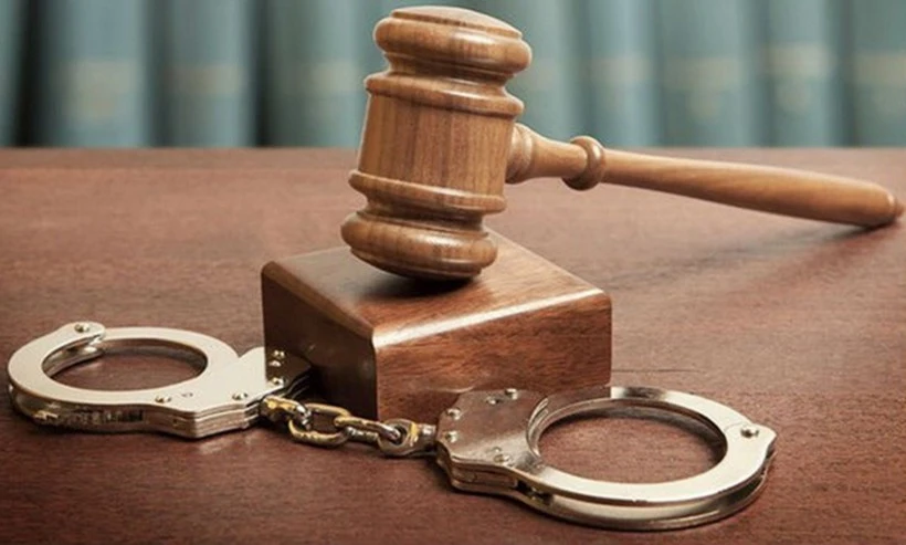 Driver involved in accident killing Vietnamese brothers in Germany prosecuted