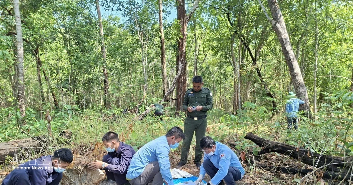 Two more sets of Vietnamese martyrs’ remains found in Cambodia