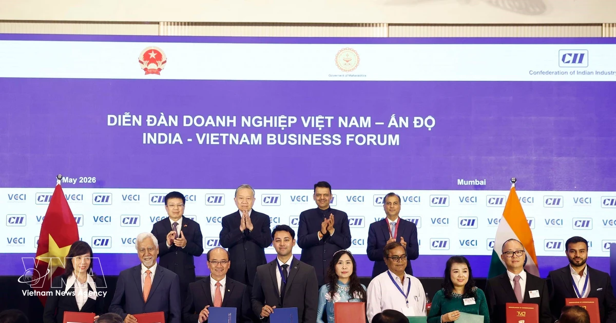 Vietnam increasingly proactive in advancing ties with Asian partners: International media