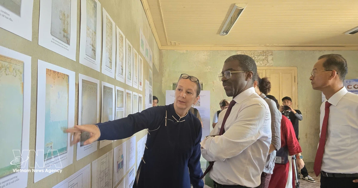 Honorary citizens leave imprint on Hue's heritage preservation, health advancement