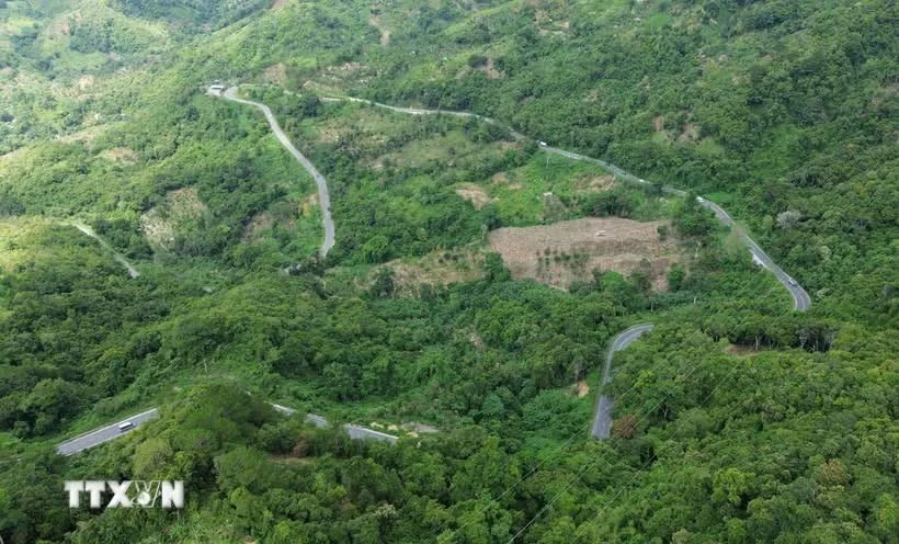 Indonesia promotes carbon market to support emissions cuts