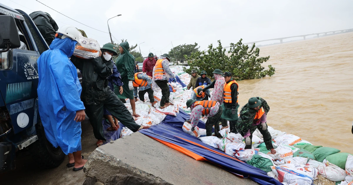 Officers and soldiers of the armed forces join local residents in consolidating An Luong dyke in Da Nang city. (Photo: VNA)