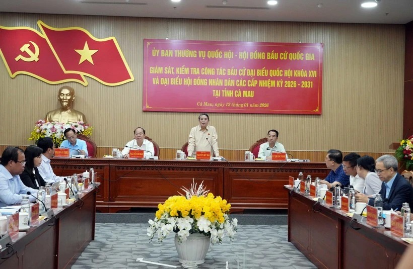 National Assembly Vice Chairman Nguyen Duc Hai speaks at the January 12 working session to inspect preparations for the elections of deputies to the 16th legislature and People’s Councils at all levels for the 2026-2031 term in the southern province of Ca Mau. (Photo: VNA)