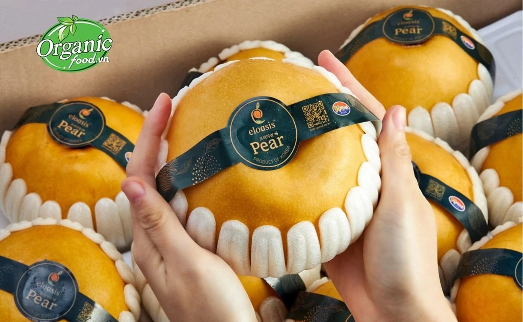 RoK exports premium pears to Vietnam