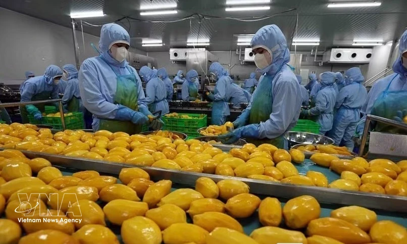 Vietnam's tropical fruits see untapped potential in Türkiye