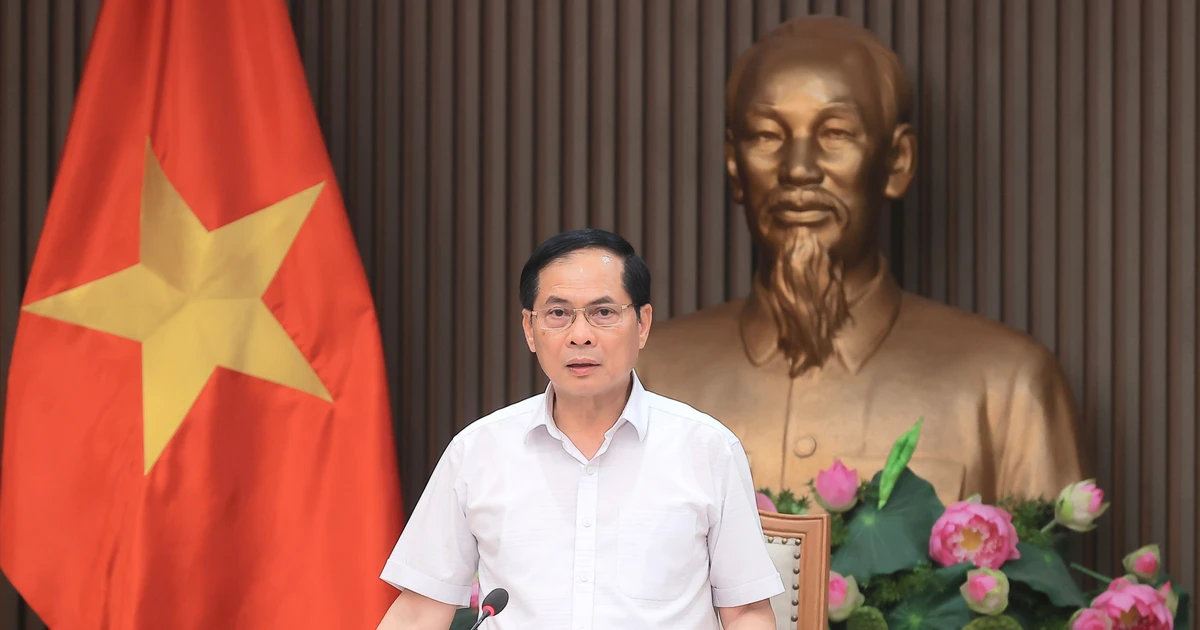 Deputy Prime Minister and Minister of Foreign Affairs Bui Thanh Son speaks at the meeting (Photo: VNA)