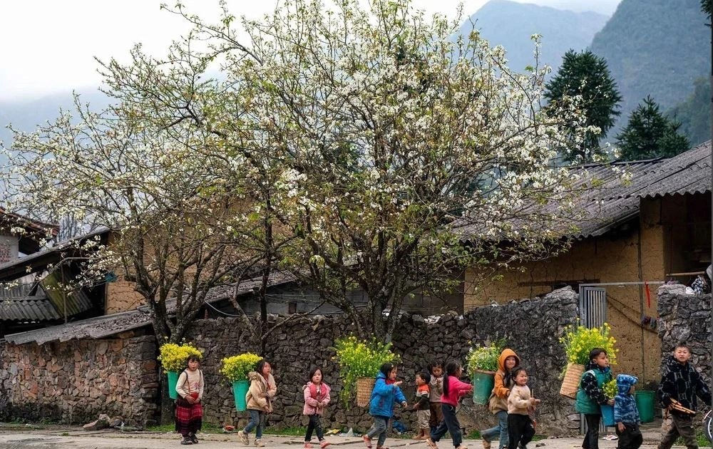 By 2030, Viet Nam strives to raise average income of ethnic minority people to at least half of the national average. (Photo: VNA)