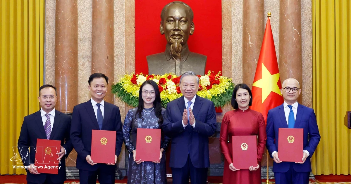 Top leader hands appointment decisions to five Vietnamese ambassadors