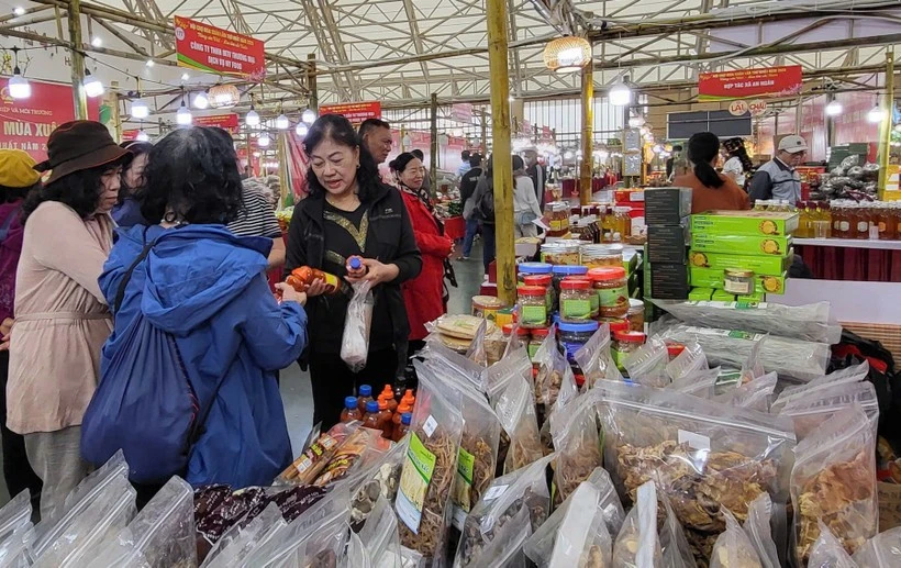 Spring Fair 2026: Vietnam can learn from Czech experience in business connectivity, digital transformation