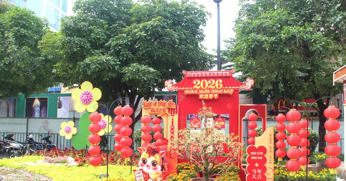 Nguyen Hue Flower Street showcases Vietnamese identity, integration spirit