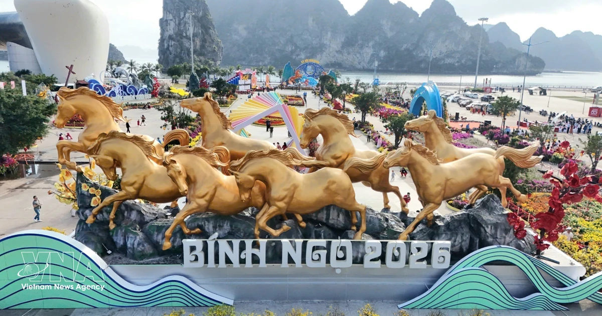 Quang Ninh embraces digital innovation to accelerate tourism growth