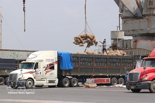 Ho Chi Minh City firms adjust markets to maintain jobs amid global shipping disruptions