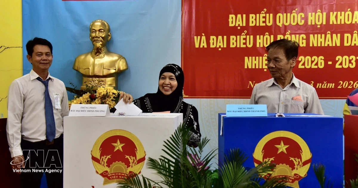 International perspectives on trust, development through Vietnam’s general election