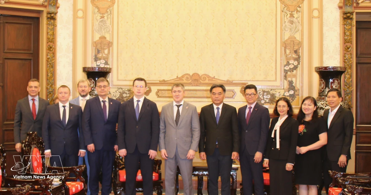 Ho Chi Minh City promotes cooperation with Russian localities