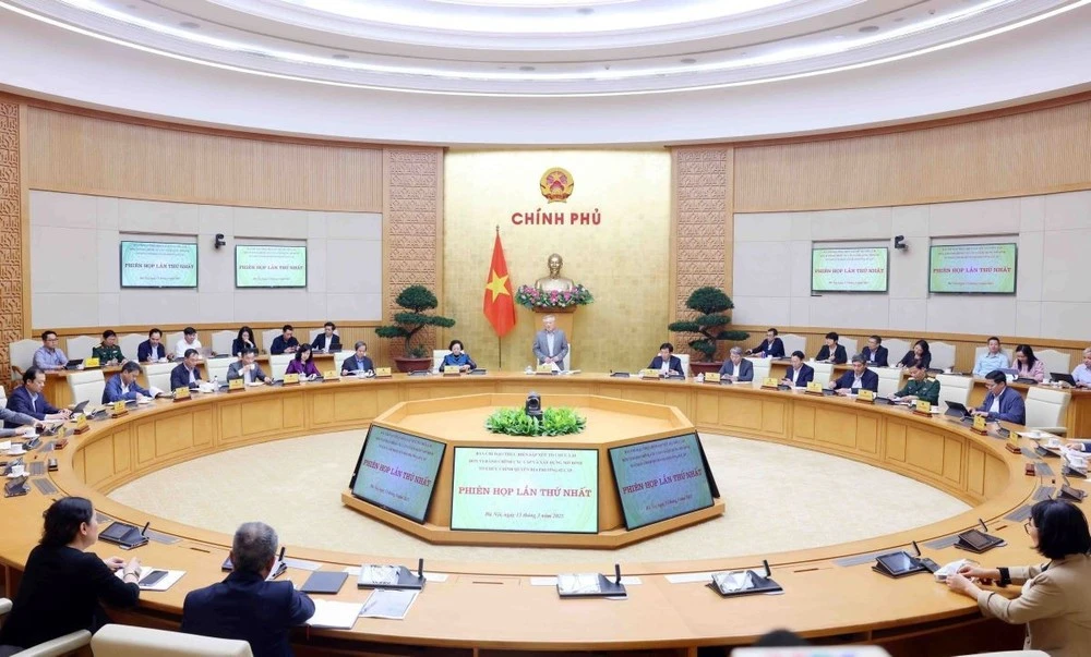 Merging provinces to expand development space: former deputy minister