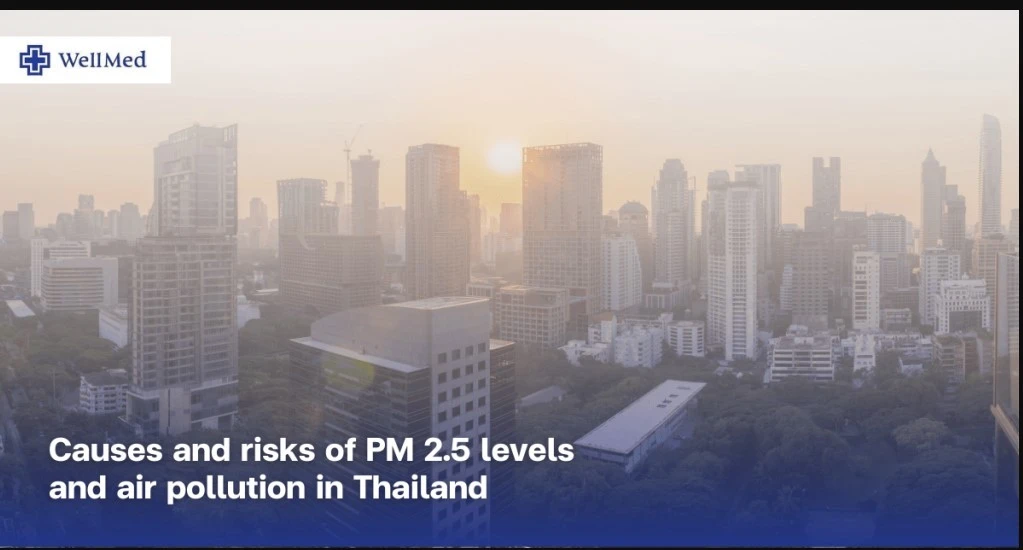 Thailand reports progress in PM2.5 pollution control