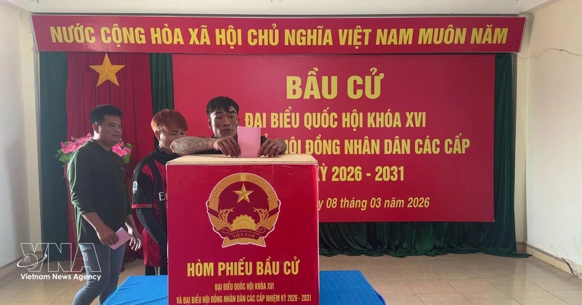 Vietnamese NA helps build institutional foundations for long-term development: Canadian researcher